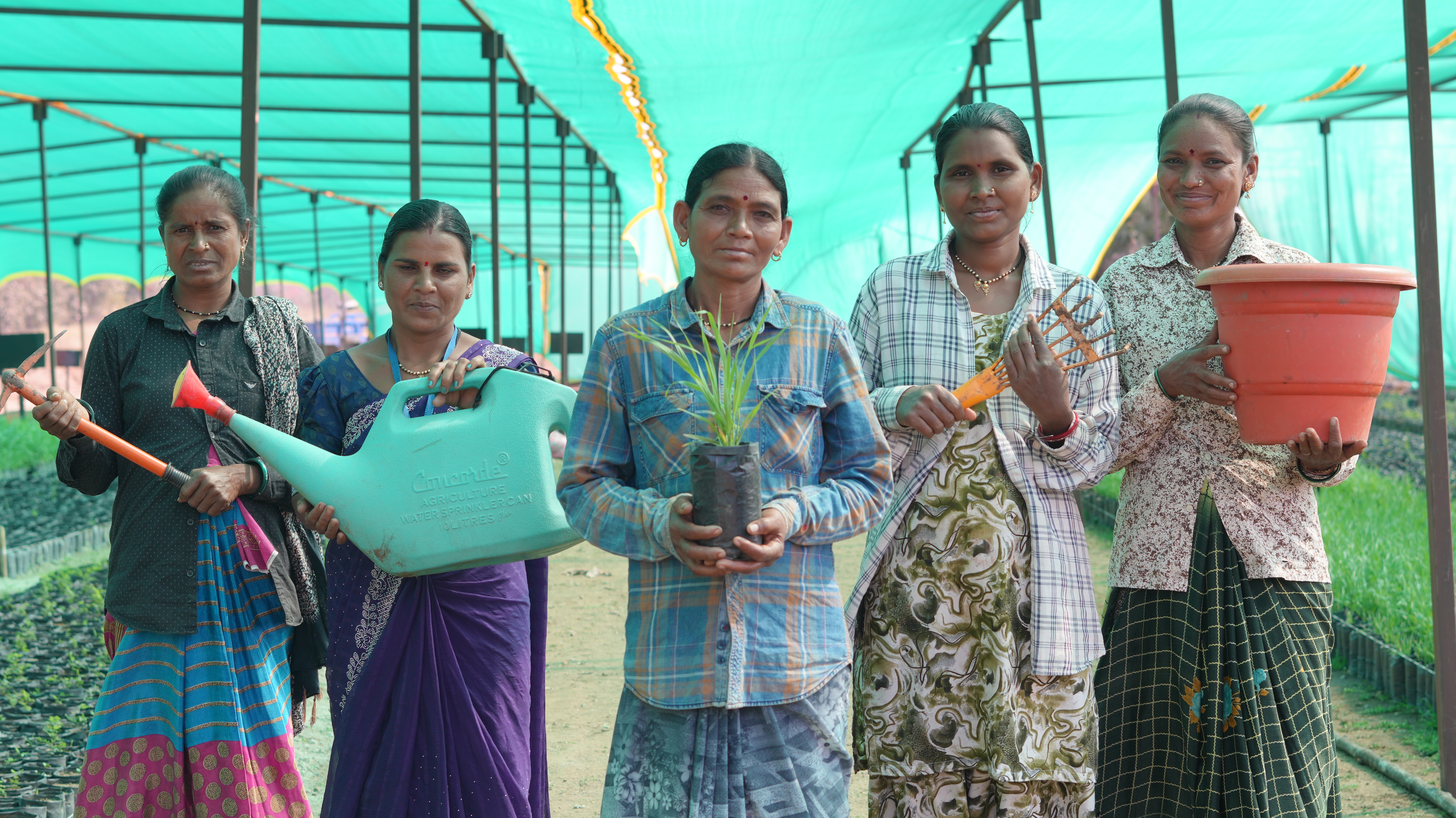 Women at work — plantation projects