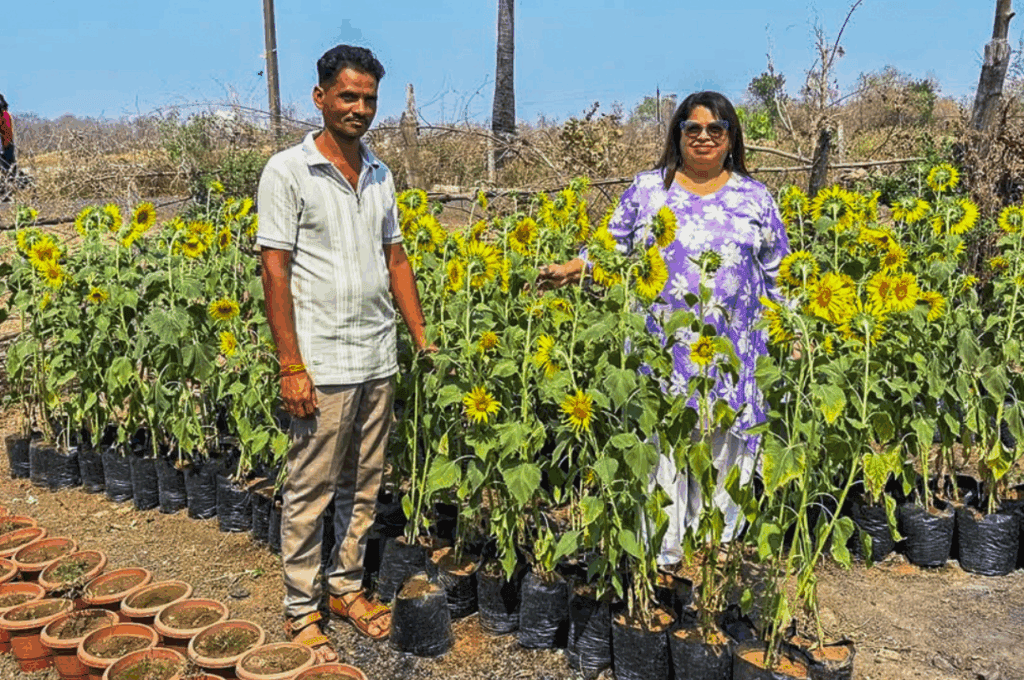 tree plantation at miam